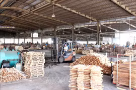 EVFTA to sustainably boost Vietnam’s wood exports to EU
