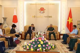 Vietnam, Japan boost cooperation in war consequence settlement 