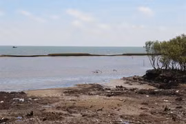 Tien Giang plans to repair geotube sea dyke
