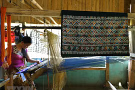 Brocade carnival in Dak Nong lures over 2,000 artists