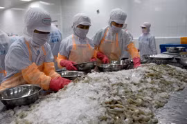 Seafood exports nears 4 billion USD in first half