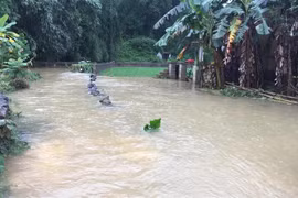 Heavy rains inundate over 900 houses in Cao Bang
