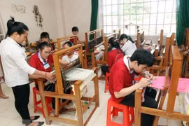 Vietnam affirms commitments to ensuring rights of persons with disabilities