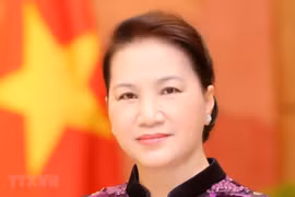 Parliamentary cooperation a new pulse for Vietnam – Russia ties: ambassador