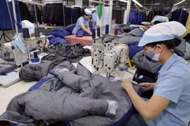 Apparel sector urged to develop supporting industry to optimise EVFTA