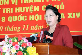 NA Chairwoman meets voters in Can Tho 