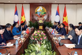 Vietnamese, Lao top legislators hold talks