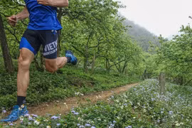Vietnam Trail Marathon in Moc Chau to draw 1,900 runners 