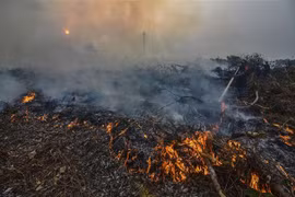 Indonesia: Forest fires break out on Malaysian-controlled land