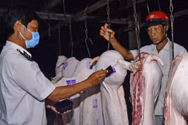 Pork closely monitored in HCM City amid ASF outbreaks