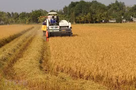 ODA for agricultural development nears 2 billion USD in 20 years 