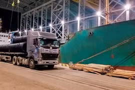 Hoa Phat sells 226,000 tonnes of steel in May 