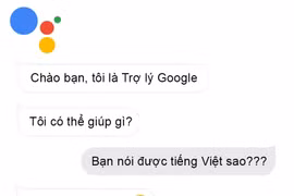 Google launches AI Assistant in Vietnamese