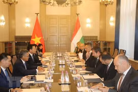 Vietnam looks to strengthen ICT cooperation with Hungary