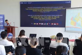 Da Nang seeks business cooperation opportunities with Canada 
