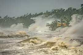 Vietnam wins first prize at int’l photo contest on weather, climate 