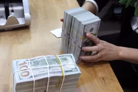 Reference exchange rate revised up 5 VND on July 19