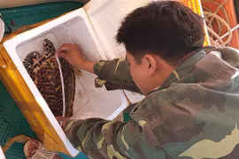 Management board tries to keep Con Dao National Park clean