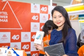 Vietnamese firms invest 460 million USD abroad in 11 months