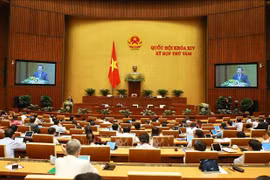 NA’s eighth session: deputies scrutinize State budget-related issues 
