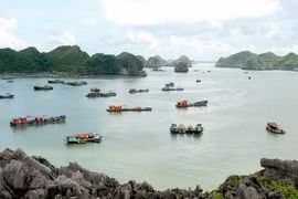 Hai Phong draws visitors to Cat Ba island