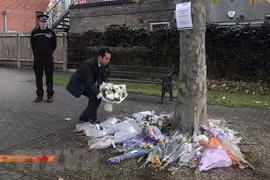 Vietnam, UK accelerate identification of Essex lorry victims: Deputy spokesperson