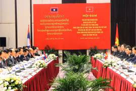 Vietnamese, Lao parties share inspection experience