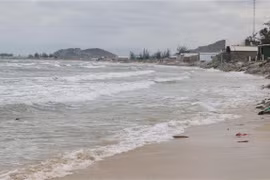 Vietnam learns from int’l experience in marine spatial planning