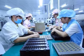 Vietnam shortens gender gap in politics, economy