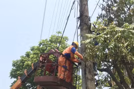 Power prices should have been increased more: MoIT