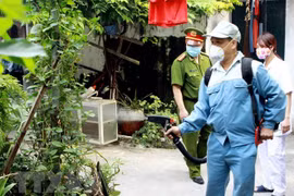 Health ministry urges stronger efforts to prevent dengue fever