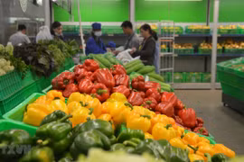 Fruit, vegetable exports bounce back in April 