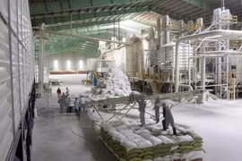 Only three SOEs have equitisation plans approved in five months