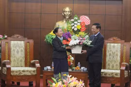 Lao delegation pays Tet visit to Hoa Binh