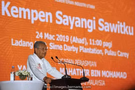 Malaysia threatens to boycott EU fighter jets over palm oil