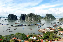 Quang Ninh province works to preserve Ha Long Bay