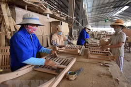 Wood exports bring home nearly 5 billion USD in H1