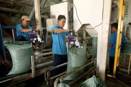 Private sector main driving force for economic growth