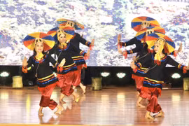 Art performance in An Giang promotes Cambodian culture