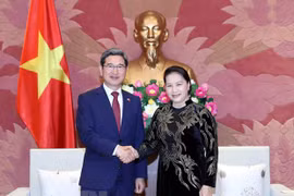 Vietnam ready to talk partnership elevation with RoK: top legislator