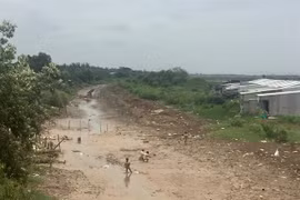 Mekong Delta needs urgent measures to prevent drought, saline intrusion