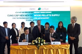 Export of wood pellets to Japan to rise
