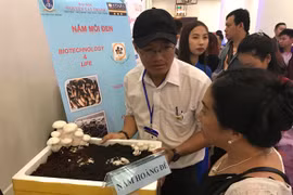 HCM City's assistance to start-ups paying off