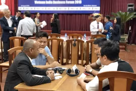 Vietnamese, Indian firms discuss trade, investment