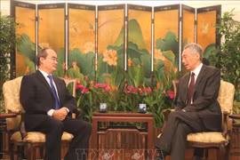 HCM City promotes comprehensive cooperation with Singapore
