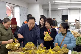 Vietnam’s fresh longan makes debut in Australia