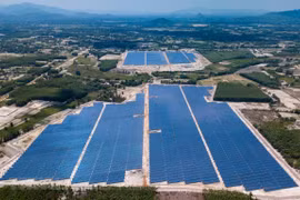 First solar power plant in Binh Dinh joins national grid