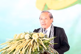 Ben Tre coconut festival 2019 kicks off 