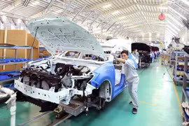 Gov’t to loosen conditions for auto imports