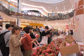 Vietnamese products introduced to Japanese customers